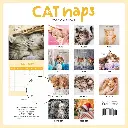 CATNAPS 2026 Calendar