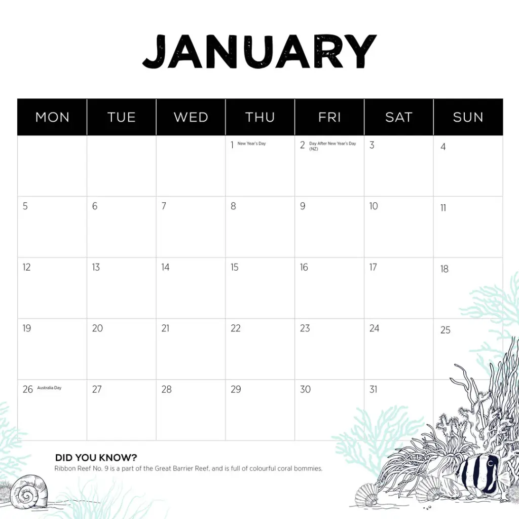 Paper Pocket Our Australia Reefs 2026 Calendar