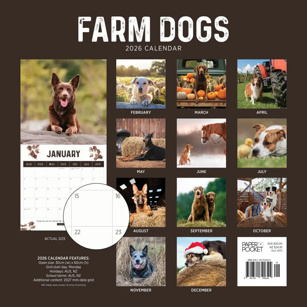 Paper Pocket Farm Dogs 2026 Calendar