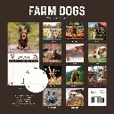 Paper Pocket Farm Dogs 2026 Calendar
