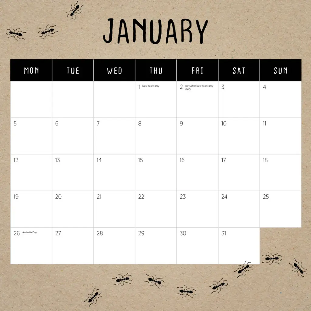 Meerkats 2026 Calendar
