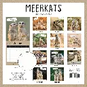 Meerkats 2026 Calendar