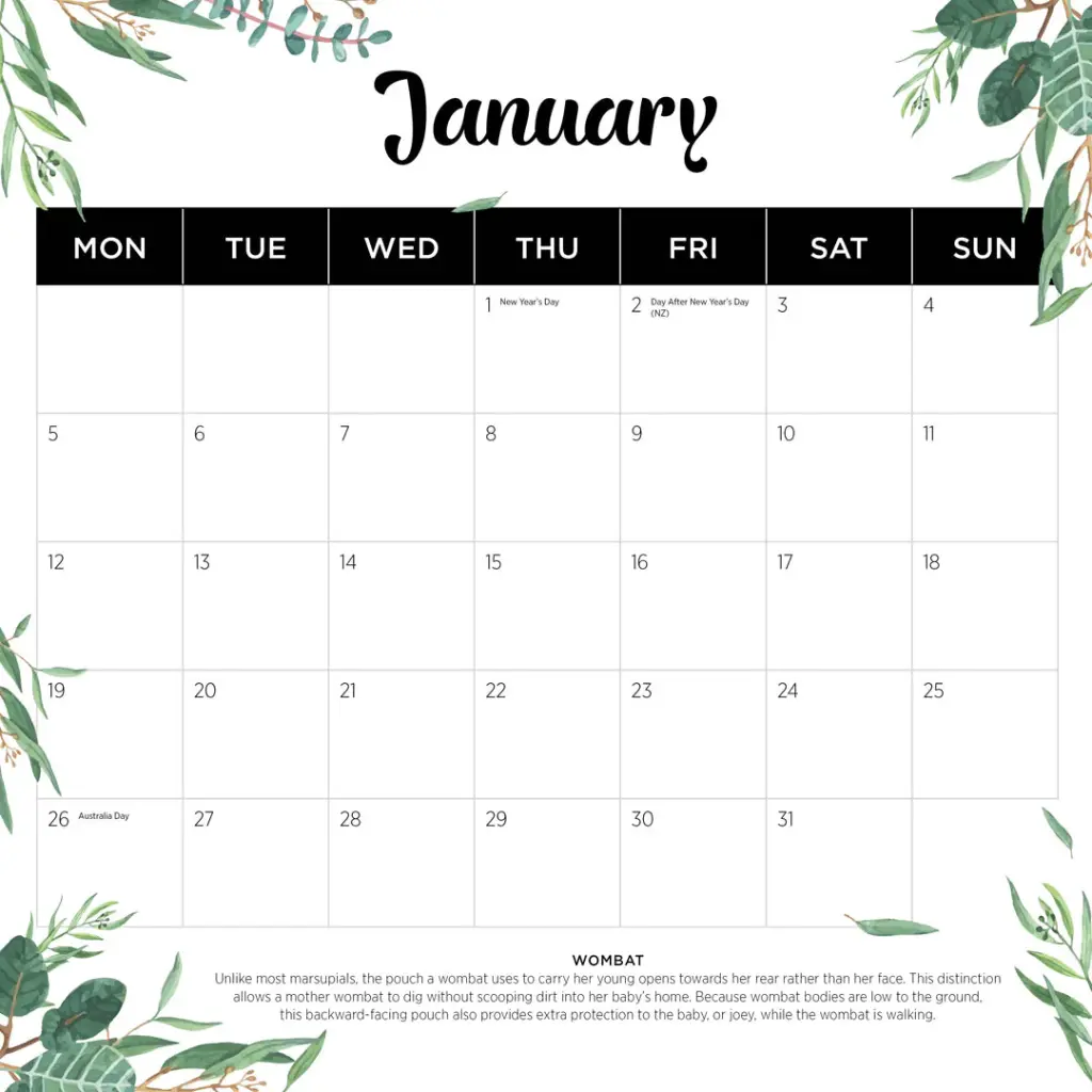 Paper Pocket Our Australia Native Animals 2026 Calendar
