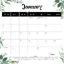 Paper Pocket Our Australia Native Animals 2026 Calendar