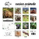 Paper Pocket Our Australia Native Animals 2026 Calendar