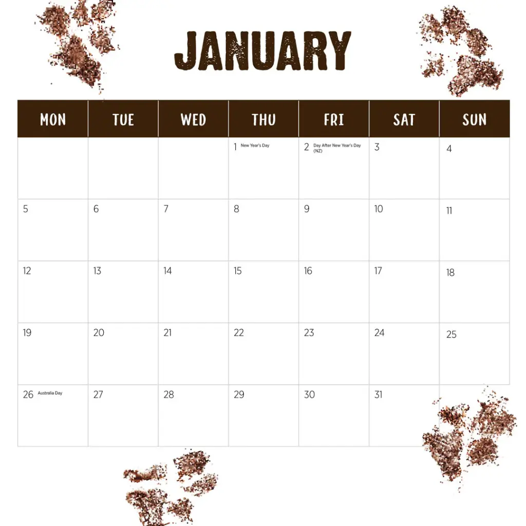 Paper Pocket Our Australia Working Dogs 2026 Calendar