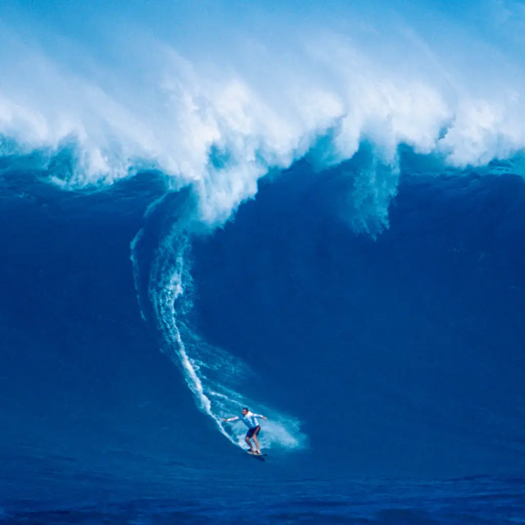 Paper Pocket 2026 The Big Surf Calendar