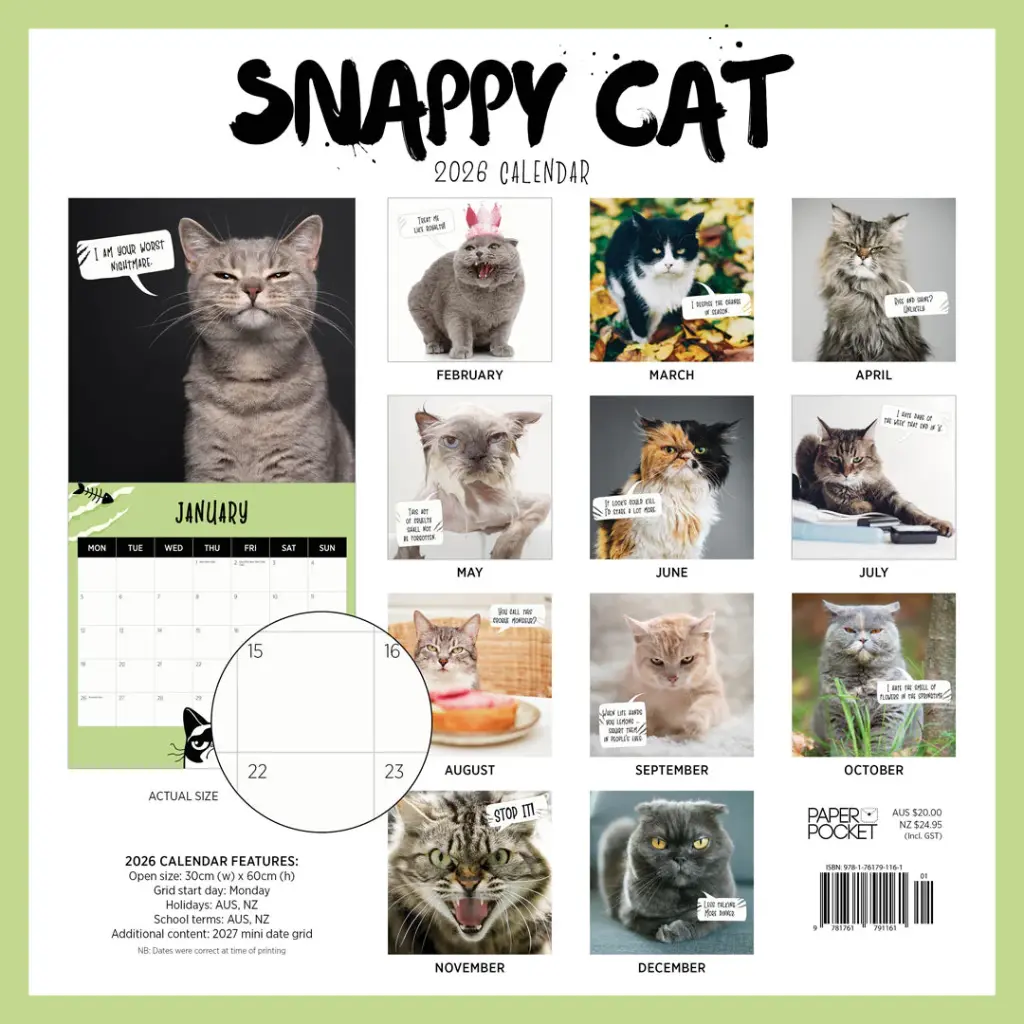 Paper Pocket Snappy Cat 2026 Calendar