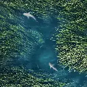 Paper Pocket Greatest Drone Shots 2026 Calendar