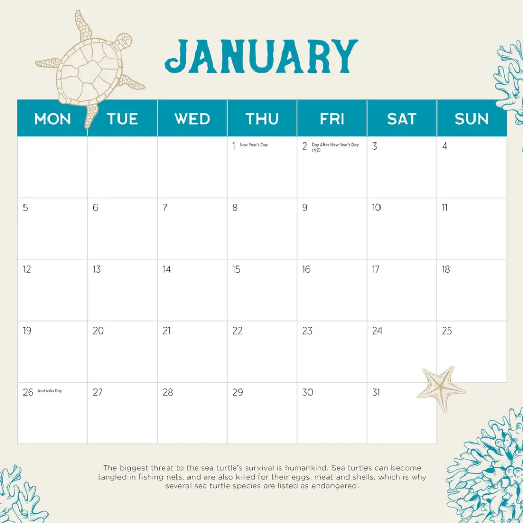 Paper Pocket Sea Turtles 2026 Calendar