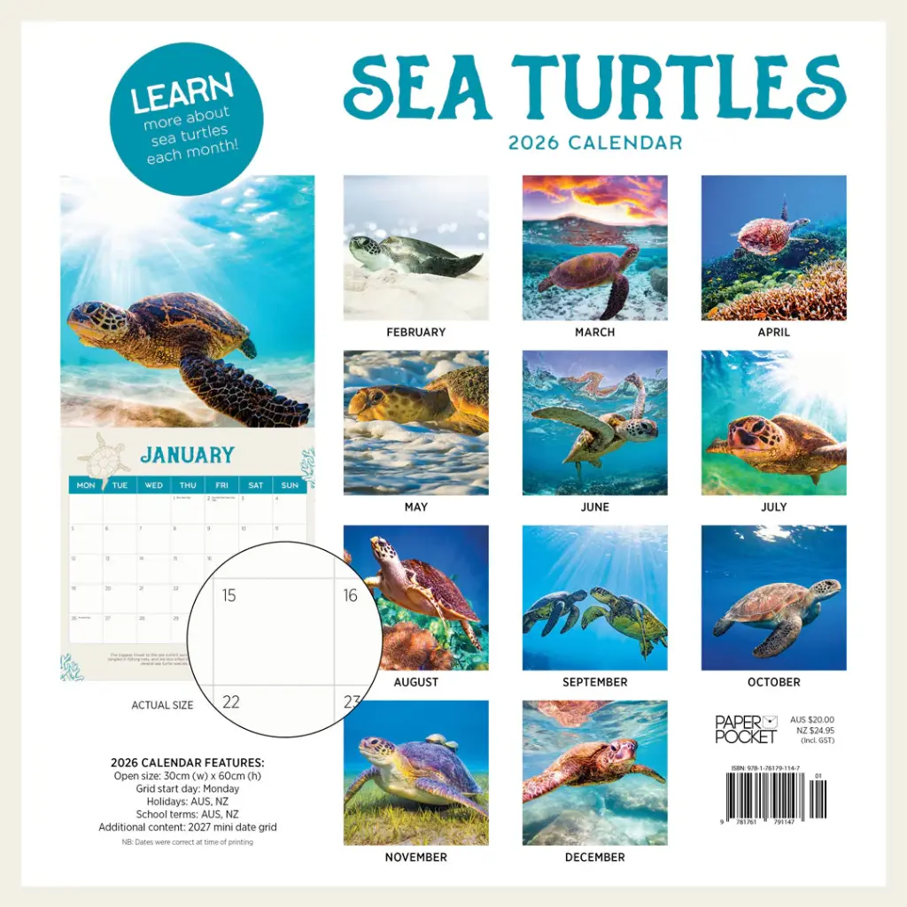 Paper Pocket Sea Turtles 2026 Calendar