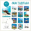 Paper Pocket Sea Turtles 2026 Calendar