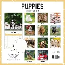 Puppies 2026 Calendar