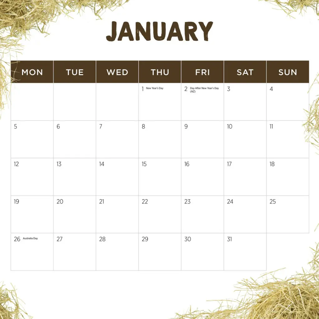 Paper Pocket Our Australia Farm Animals 2026 Calendar