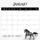 Our Australia - Wild Horses: The Brumby 2026 Calendar