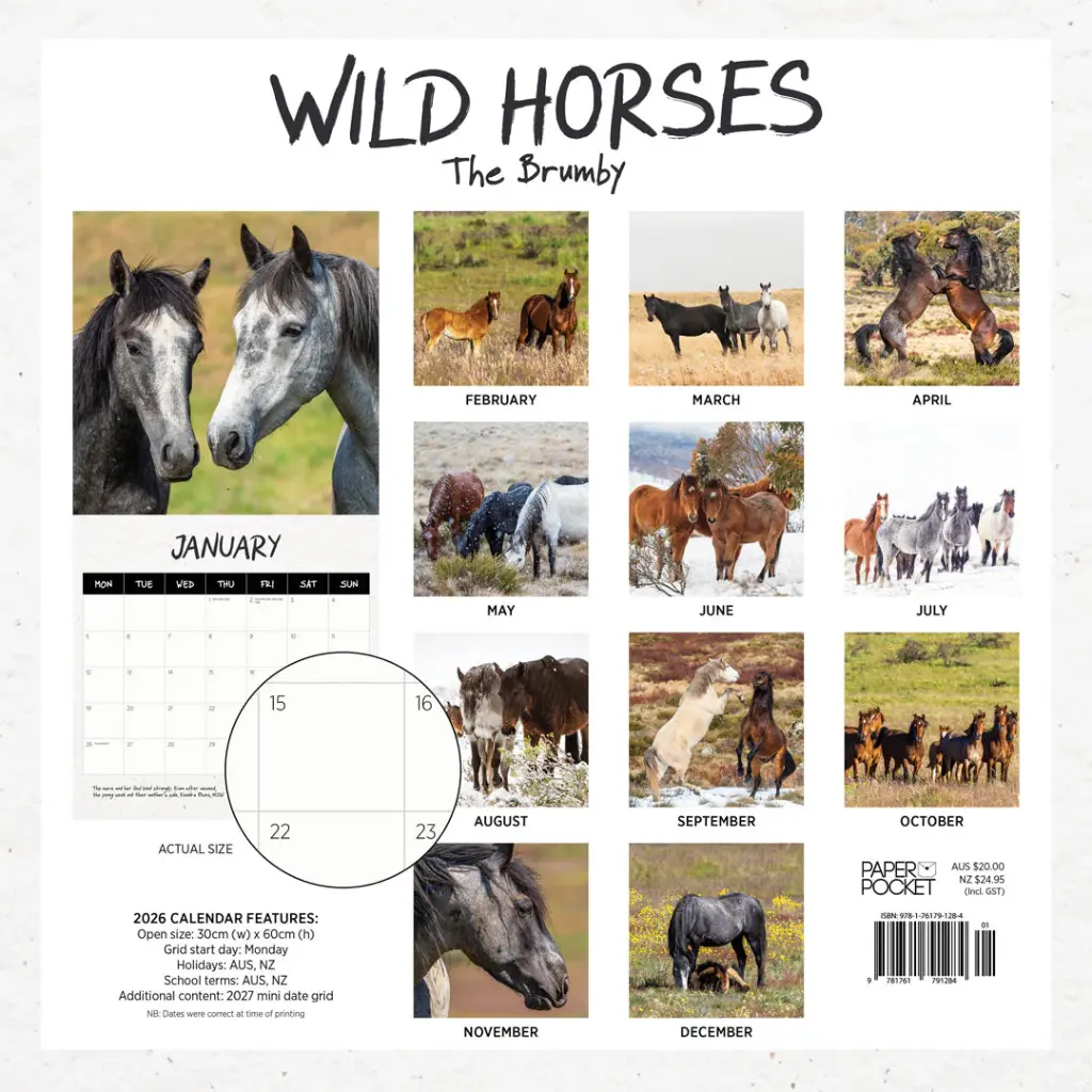 Our Australia - Wild Horses: The Brumby 2026 Calendar