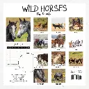 Our Australia - Wild Horses: The Brumby 2026 Calendar