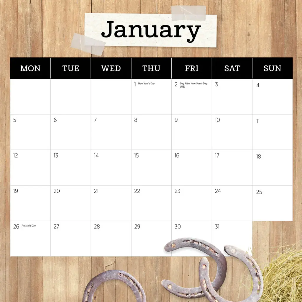 Paper Pocket Our Australia Horses at Home 2026 Calendar