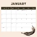 Paper Pocket Our Australia Exotic Birds 2026 Calendar