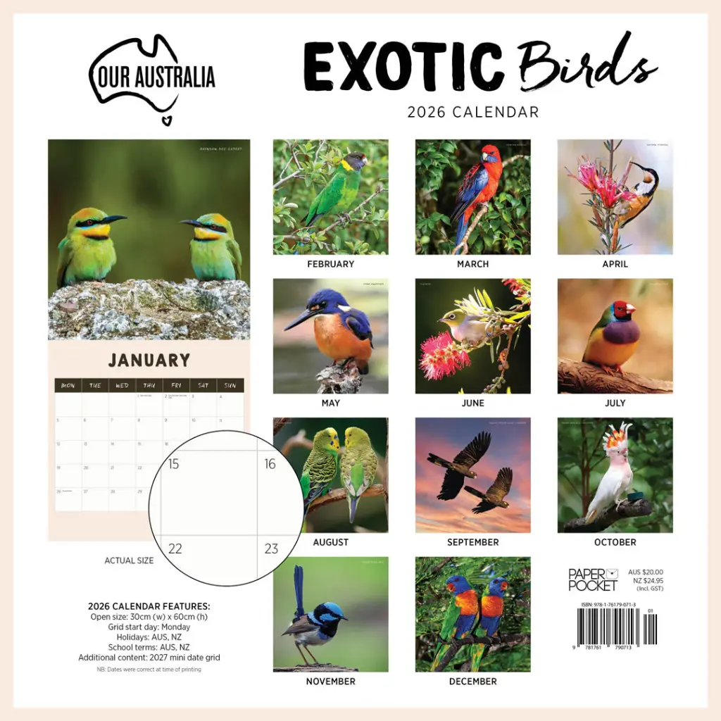 Paper Pocket Our Australia Exotic Birds 2026 Calendar