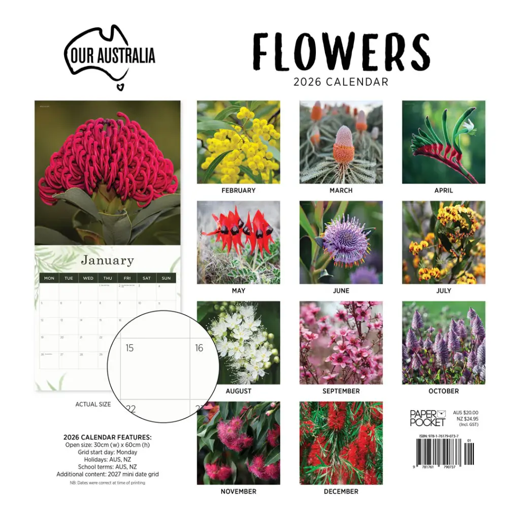 Paper Pocket Our Australia Flowers 2026 Calendar