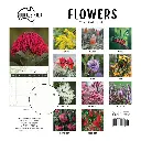 Paper Pocket Our Australia Flowers 2026 Calendar
