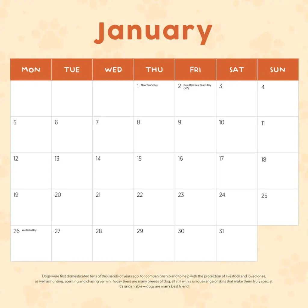 Paper Pocket Cavoodle 2026 Calendar