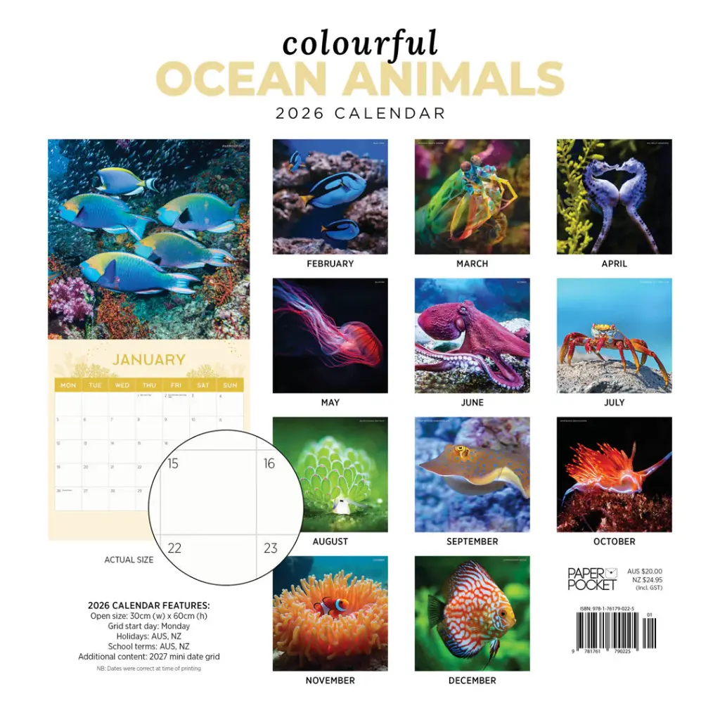Paper Pocket Colourful Ocean Animals 2026 Calendar