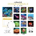 Paper Pocket Colourful Ocean Animals 2026 Calendar