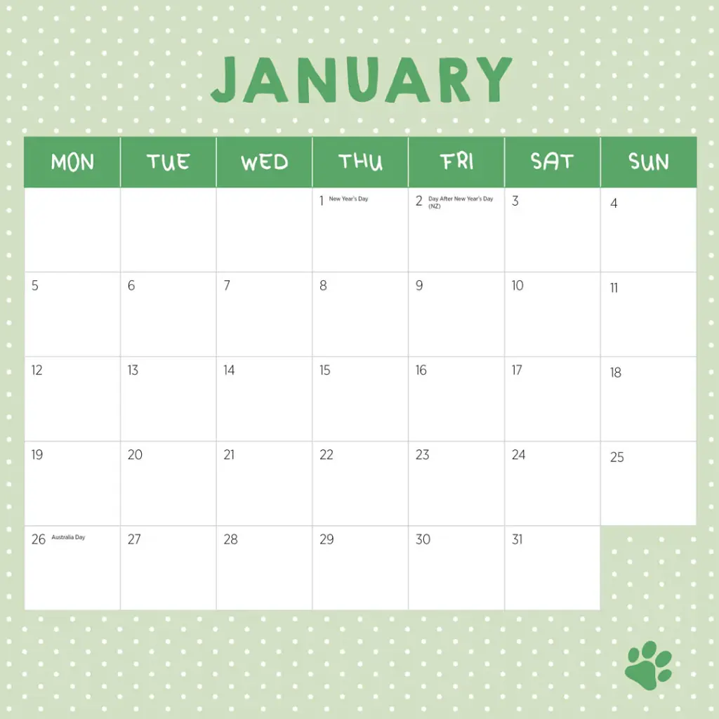 Paper Pocket Fur Friends 2026 Calendar