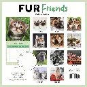 Paper Pocket Fur Friends 2026 Calendar