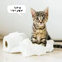 Paper Pocket Cat Crimes 2026 Calendar