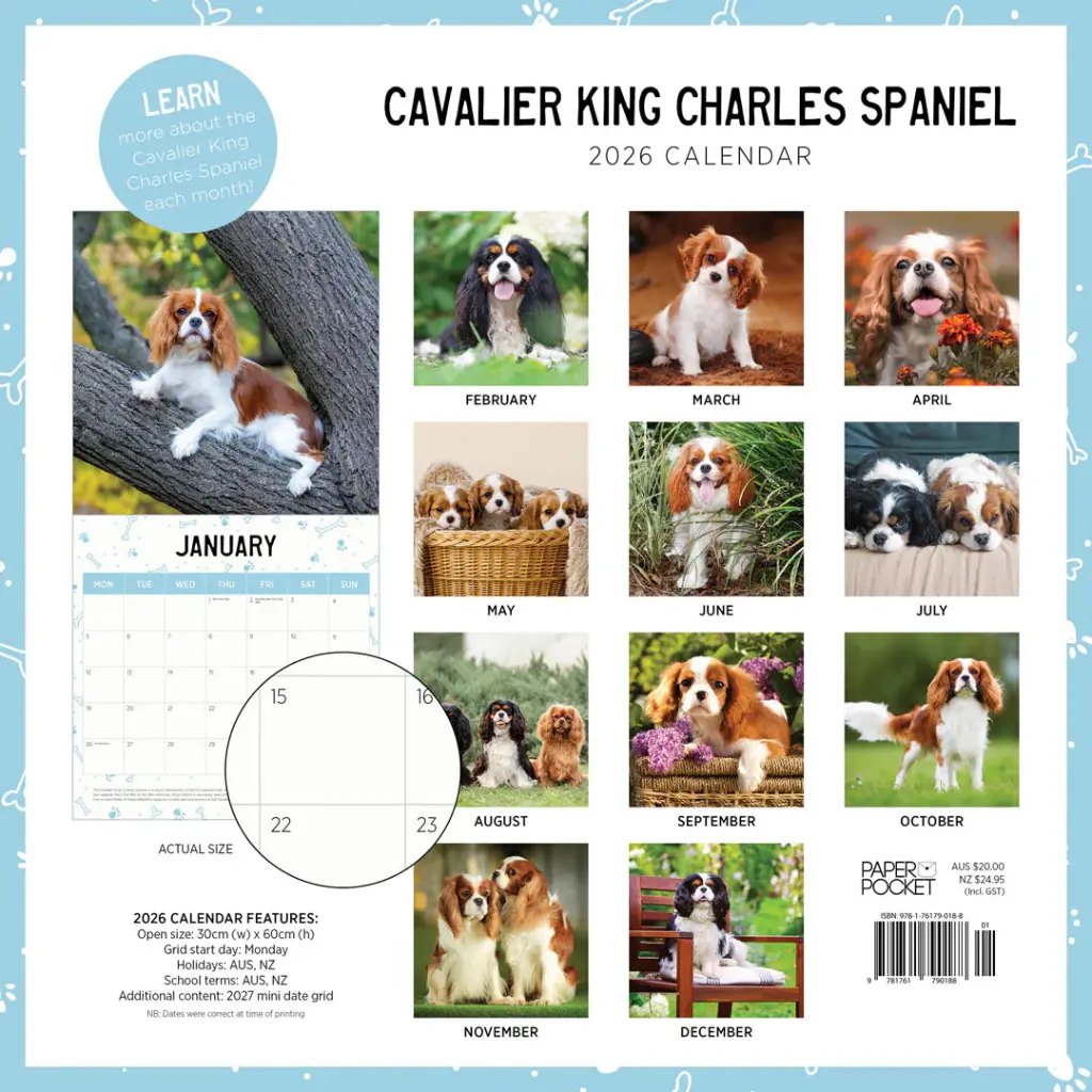 Paper Pocket Cavalier King Charles Spaniel 2026 Calendar
