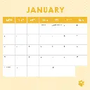 Paper Pocket Cat Naps 2026 Calendar