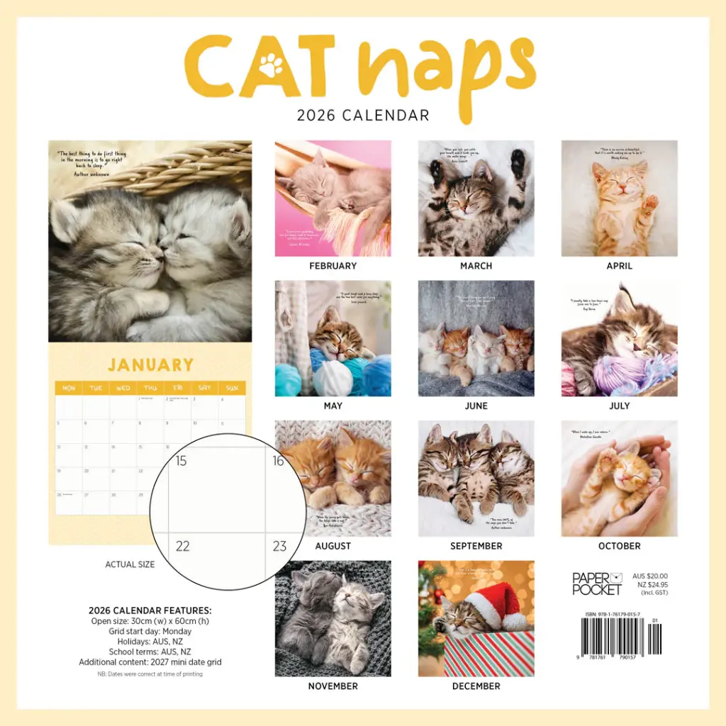 Paper Pocket Cat Naps 2026 Calendar