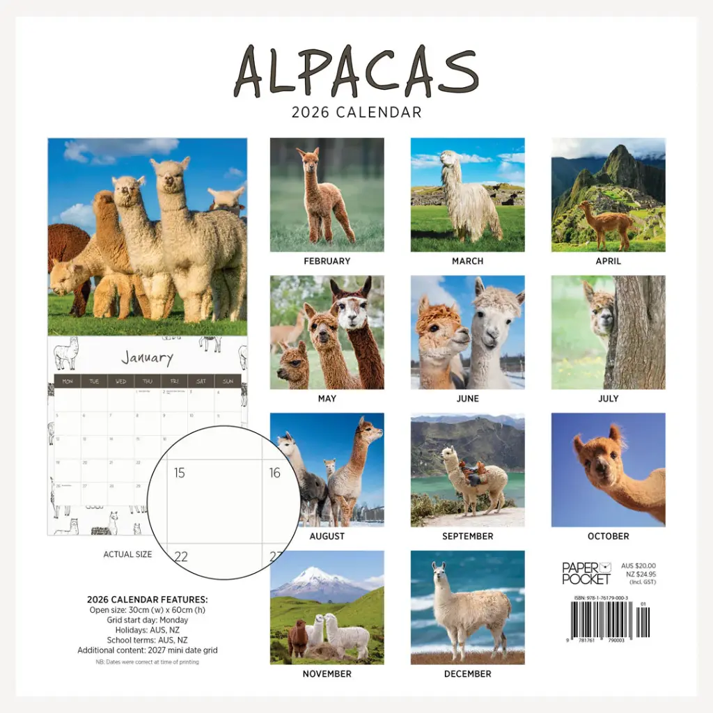 Paper Pocket Alpacas 2026 Calendar
