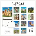 Paper Pocket Alpacas 2026 Calendar