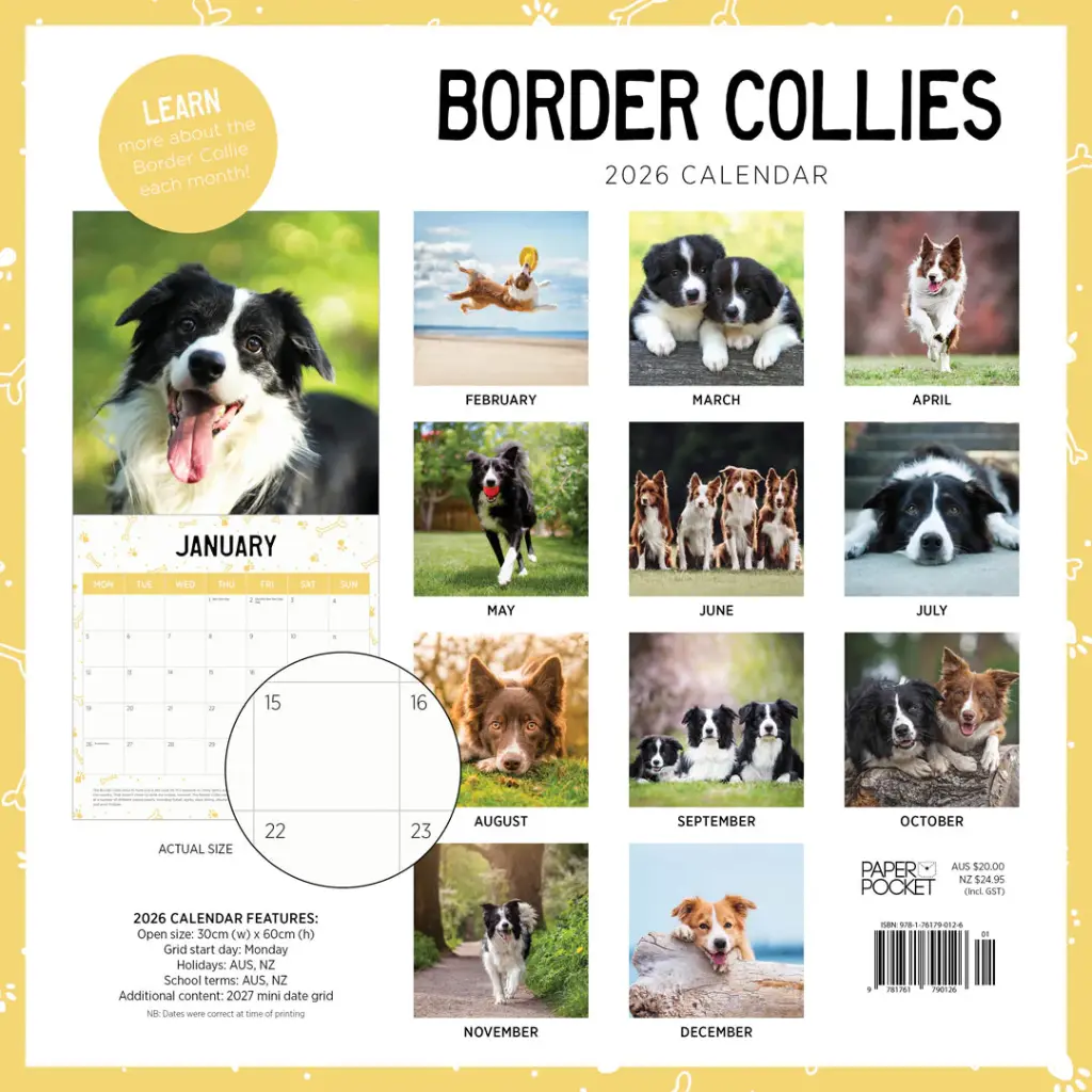 Paper Pocket Border Collies 2026 Calendar