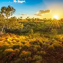 Paper Pocket Our Australia Sunsets 2026 Calendar
