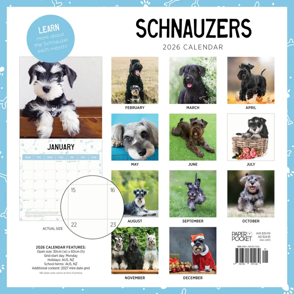 Paper Pocket Schnauzers 2026 Calendar