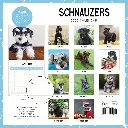 Paper Pocket Schnauzers 2026 Calendar