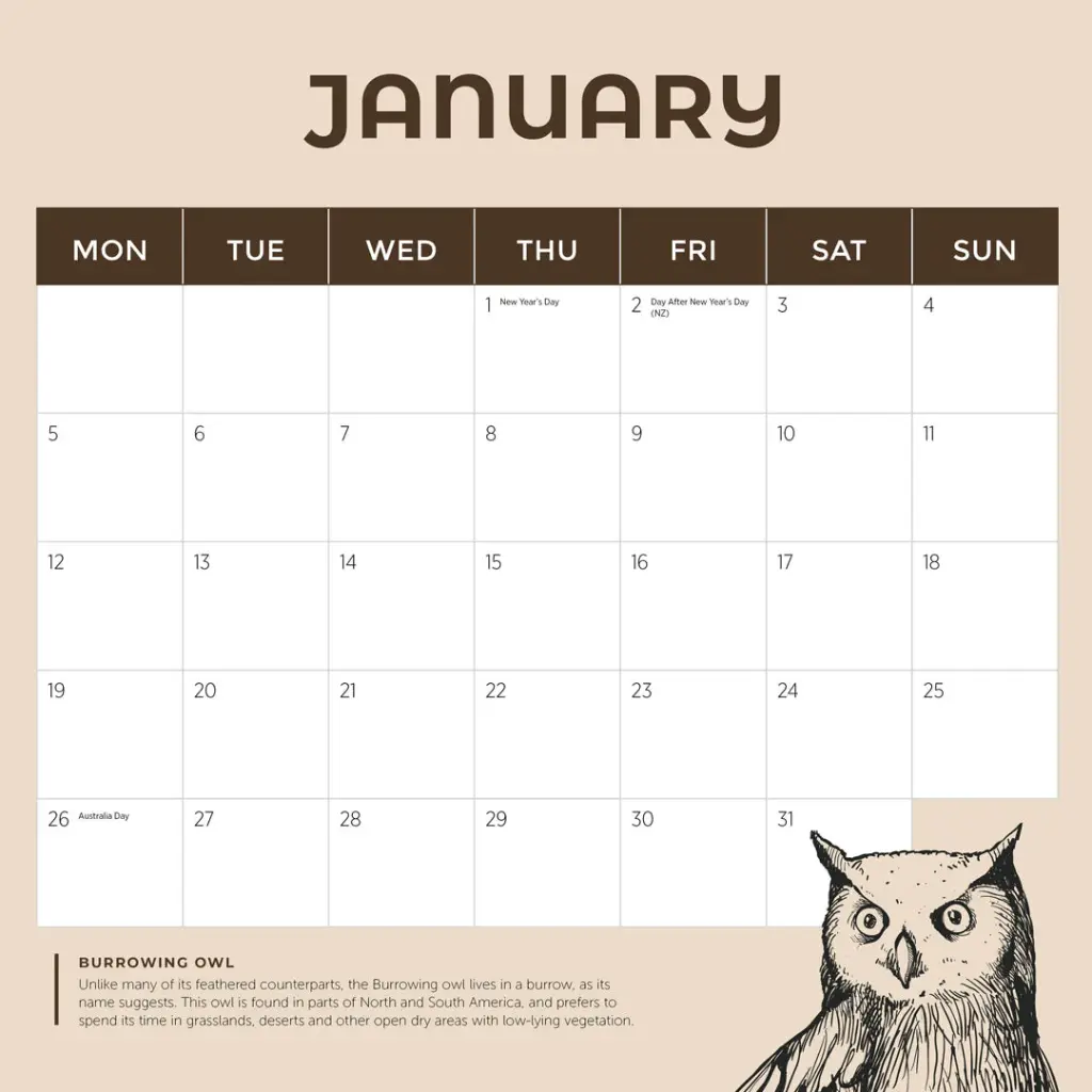 Paper Pocket Owls 2026 Calendar