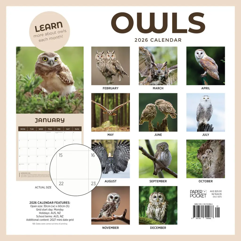 Paper Pocket Owls 2026 Calendar