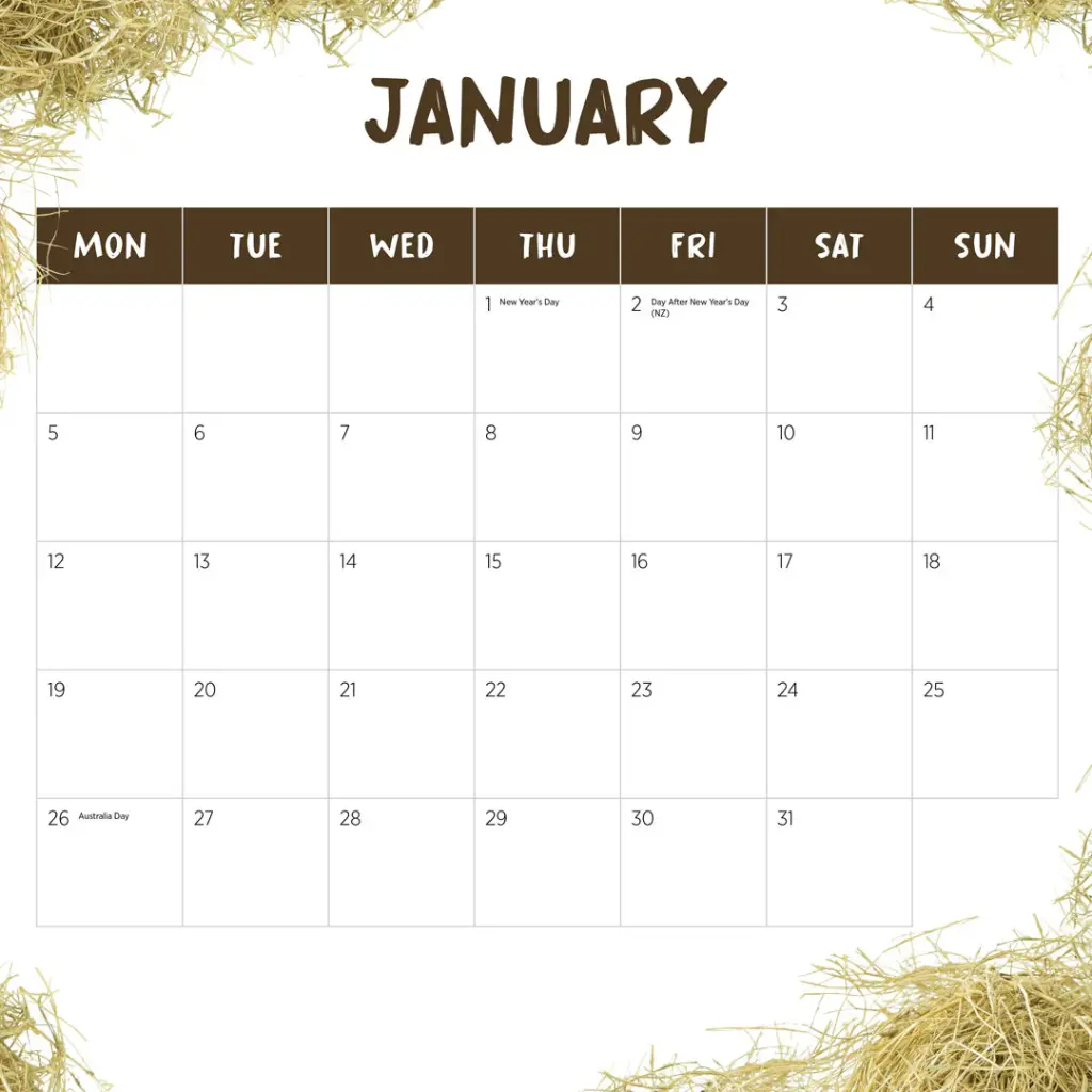 Paper Pocket Colourful Chicks 2026 Calendar