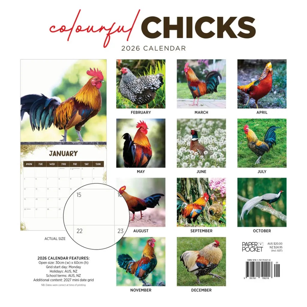 Paper Pocket Colourful Chicks 2026 Calendar