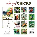 Paper Pocket Colourful Chicks 2026 Calendar