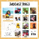 Paper Pocket Sausage Dogs 2026 Calendar