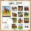 Paper Pocket The Love Of A Horse 2026 Calendar