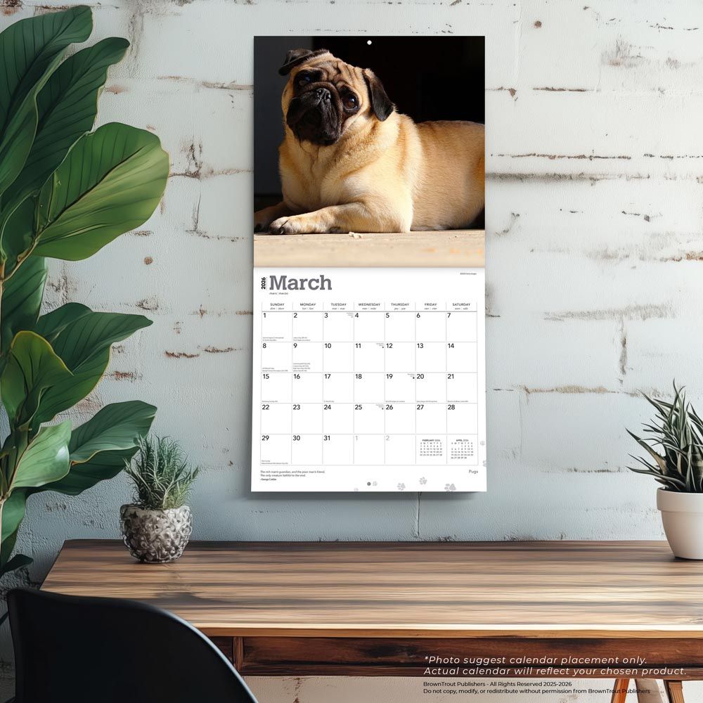 BrownTrout Pugs 2026 Calendar 