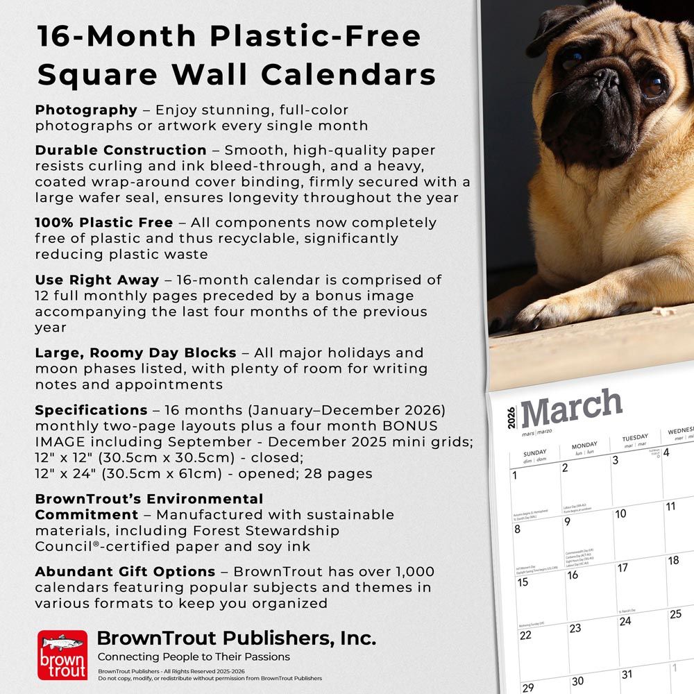 BrownTrout Pugs 2026 Calendar 